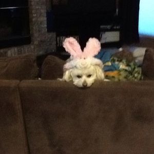 Meet your Posher, Tristin